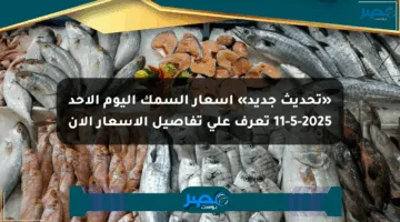 «تحديث جديد» أسعار السمك اليوم الأحد 11-5-2025 تعرف على تفاصيل الأسعار الآن